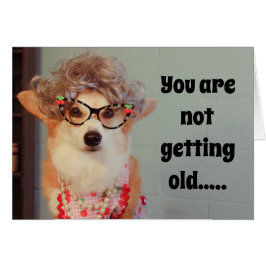 Corgi Birthday-kort Hälsningskort