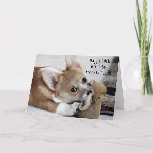 Corgi Birthday Önskemål Card Kort (Framsida)