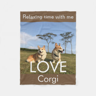 corgi blanket blue sky fleecefilt