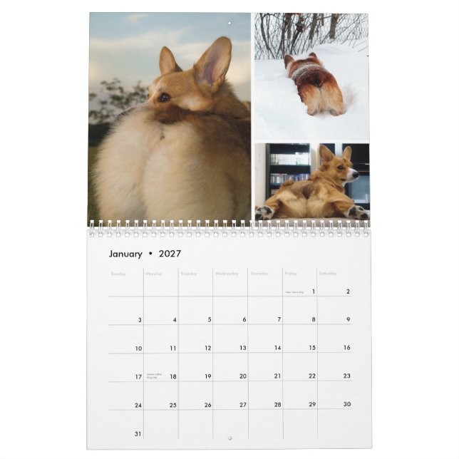 Corgi Butts and Friends Wall Calendar 2012 Kalender (Jan 2027)