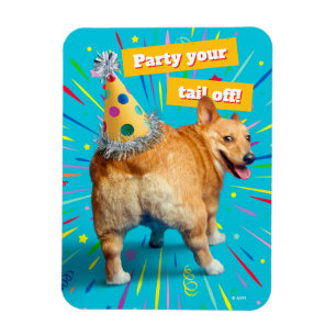 Corgi Byx Födelsedagshatt Magnet
