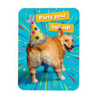 Corgi Byx Födelsedagshatt Magnet