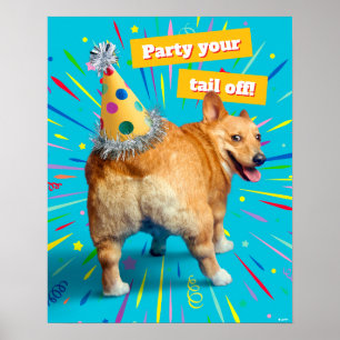Corgi Byx Födelsedagsmössa Poster