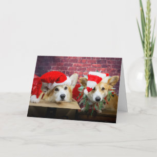 Corgi Elf-julkort Kort