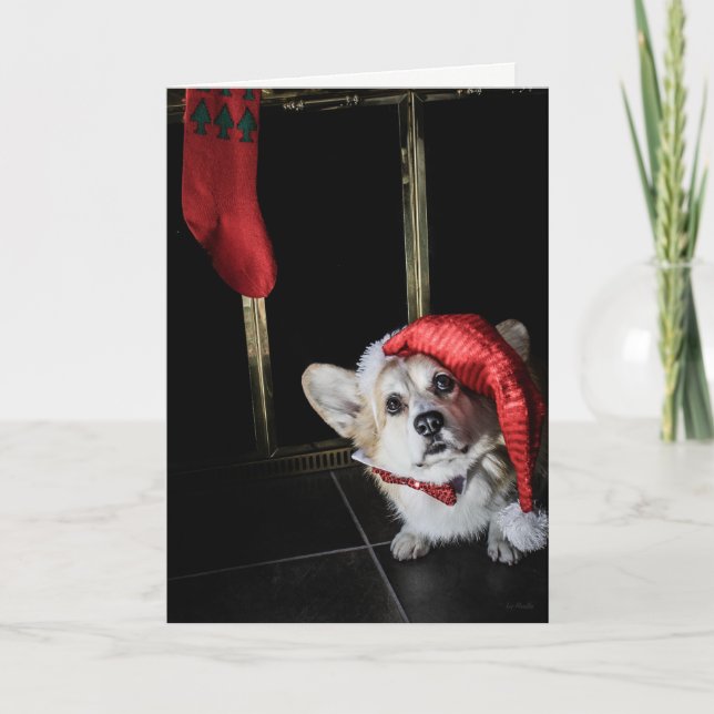 Corgi Elf Tittar för julkort Helgkort (Framsida)
