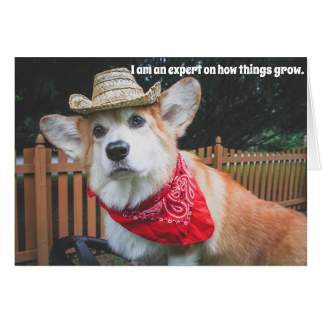 Corgi Farmer Birthday Card Hälsningskort (Framsidan Horizontal)