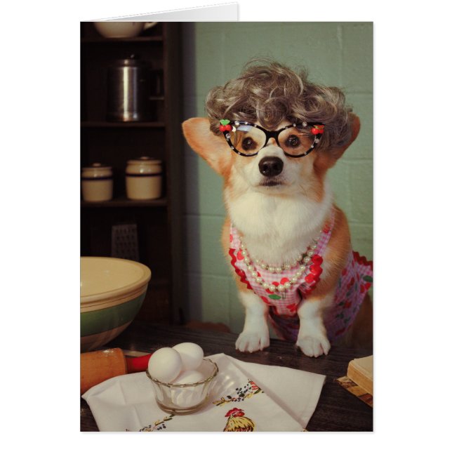 Corgi Grattis på födelsedagen Hälsningskort (Framsidan)