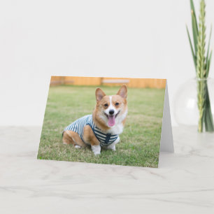 Corgi-hälsningskort Kort
