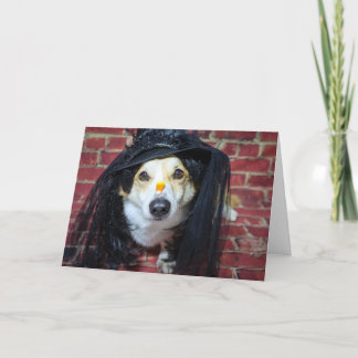 Corgi-häxa Halloween-kort Helgkort