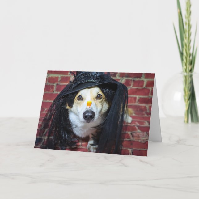 Corgi-häxa Halloween-kort Helgkort (Framsida)