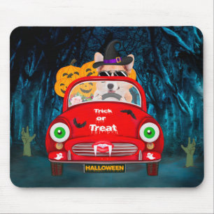 Corgi Hund Driving Car Scary Halloween Musmatta
