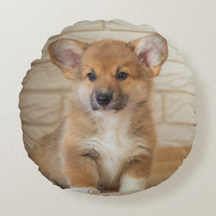 Corgi Hund Foto Rund Kudde