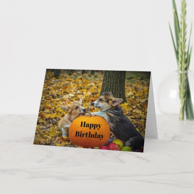 Corgi Hund Pumpkin Autumn Photo Birthday Kort (Framsida)