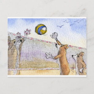 Corgi hund strand volleyball vykort