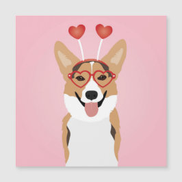 Corgi Hund Valentines day