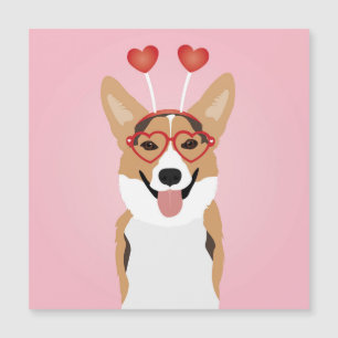 Corgi Hund Valentines day