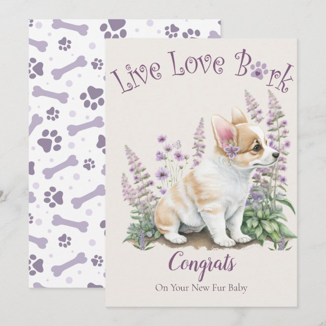 Corgi-hundadoption, Gotcha-dagen Kort (Fram/baksida)
