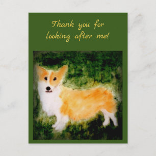 Corgi Husdjur Fotografi Tack Vykort