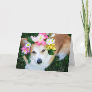 Corgi i blomsterkrans tom välkomstkort kort
