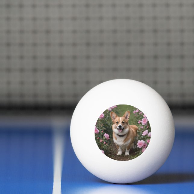 Corgi i de rosa rosorna, pingisboll (Netto)