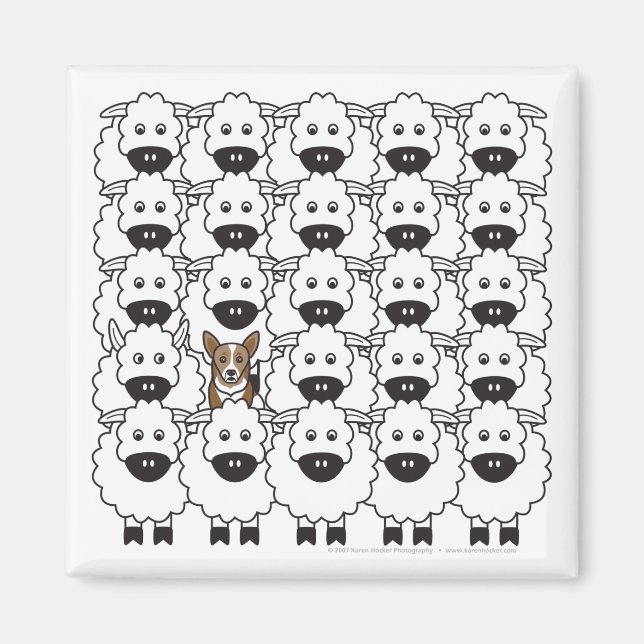 Corgi i får magnet (Framsidan)