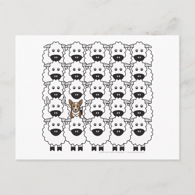 Corgi i får vykort (Framsida)