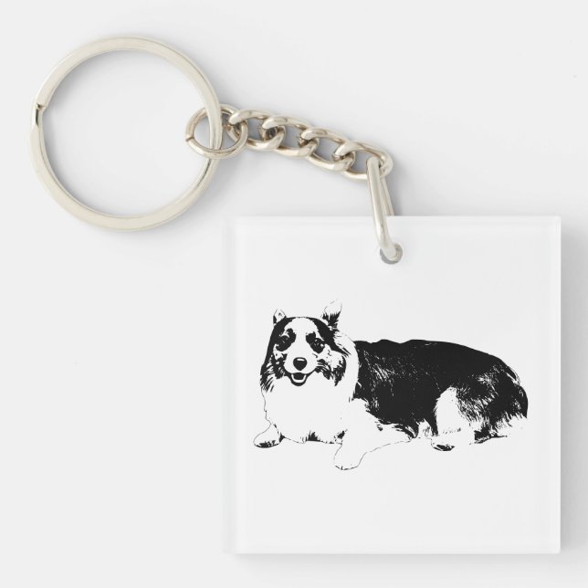 Corgi i fickformat - fred (Framsidan)