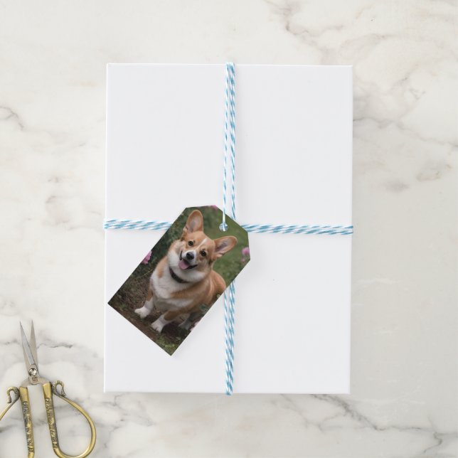 Corgi i Rosa ros, Presentetikett (Med Snöre)