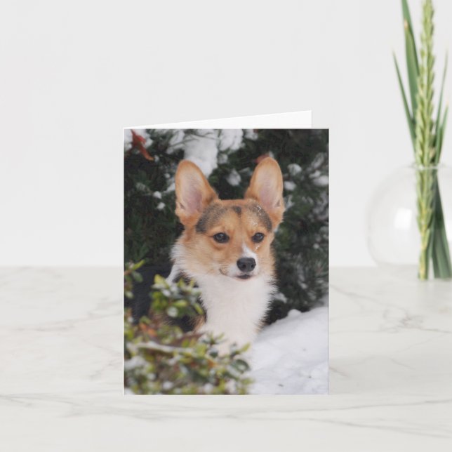 Corgi i Snö Kort (Framsida)