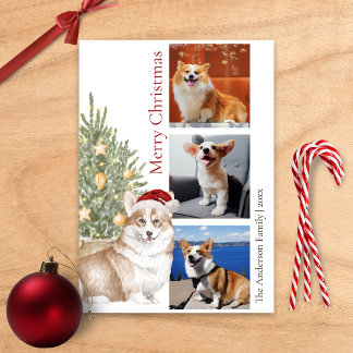 Corgi Julgran Pet Hund Photo Julkort