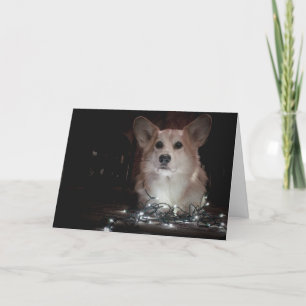 Corgi-julkort Kort