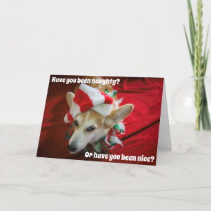 Corgi julkort kort