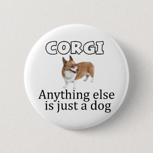 Corgi Knapp