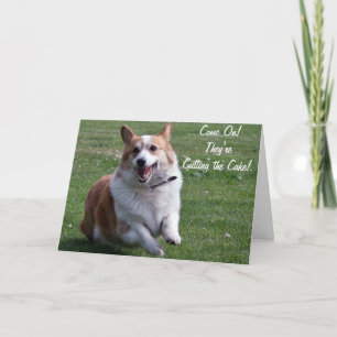 Corgi-kort Kort