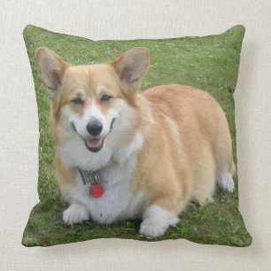 CORGi Kudde