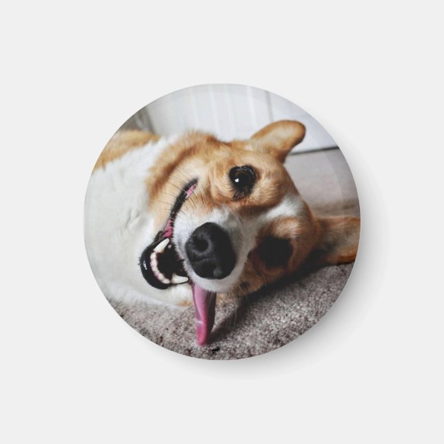 Corgi Magnet (Framsidan)