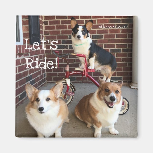 Corgi Magnet (Framsidan)