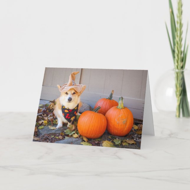 Corgi med Pumpkin Thanksgiving Card Kort (Framsida)