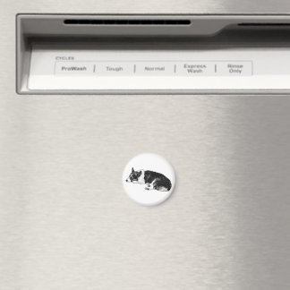 Corgi med sammansatt uttryck magnet