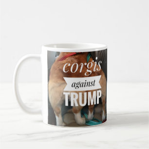 corgi mot mugg