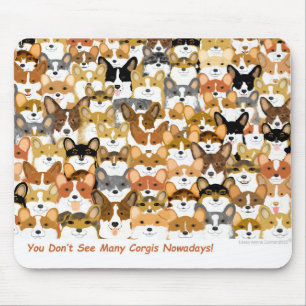 Corgi Multi Musmatta