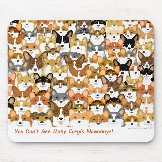 Corgi Multi Musmatta (Framsidan)