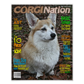 Corgi Nation Magazine (Anpassade Print) Fototryck
