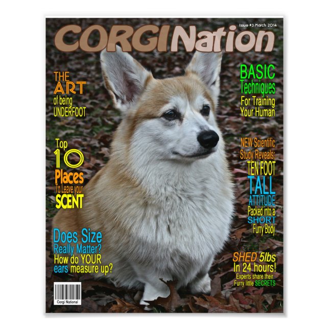 Corgi Nation Magazine (Anpassade Print) Fototryck (Framsidan)