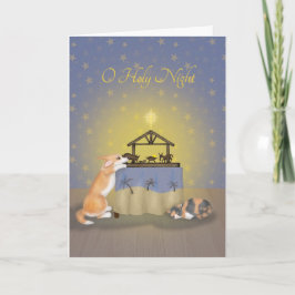 Corgi och katt med julkort på scenen kort