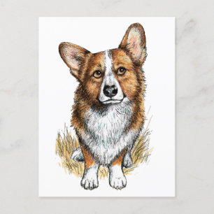 Corgi och kor vykort