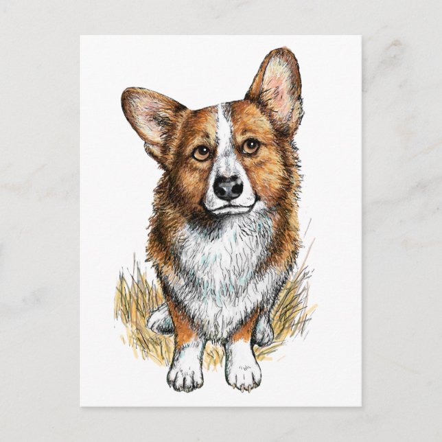Corgi och kor vykort (Framsida)