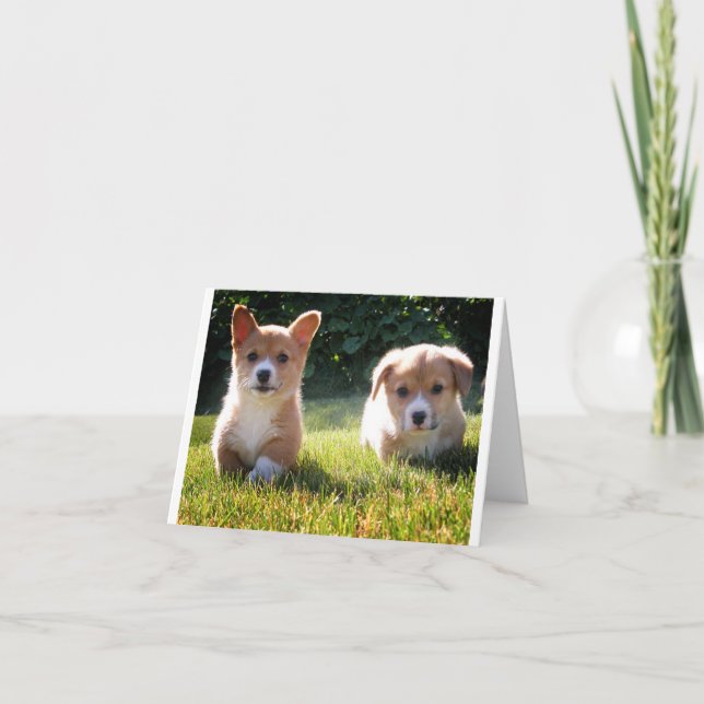 Corgi (Pembroke) Puppy Hund Blank Note Card Tack Kort (Framsida)