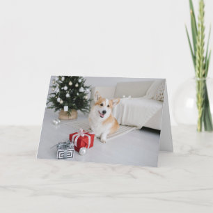 Corgi Pembroke Welsh Hund älskare jul Hälsning Kort
