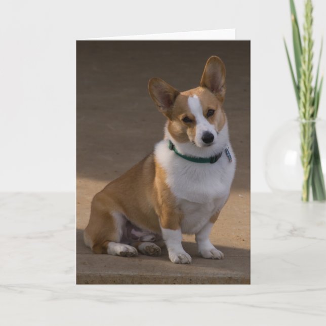 Corgi Porträtt Kort (Framsida)